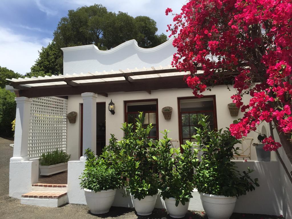 לינה וארוחת בוקר קייפטאון The White Manor חדר תמונה