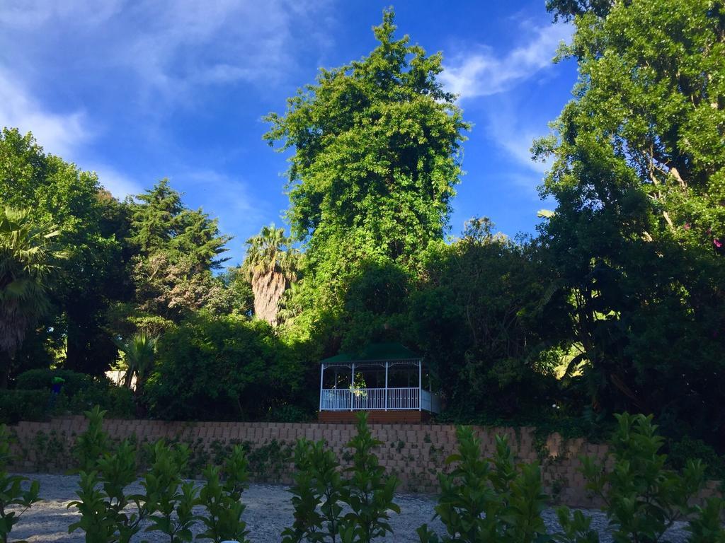 לינה וארוחת בוקר קייפטאון The White Manor מראה חיצוני תמונה