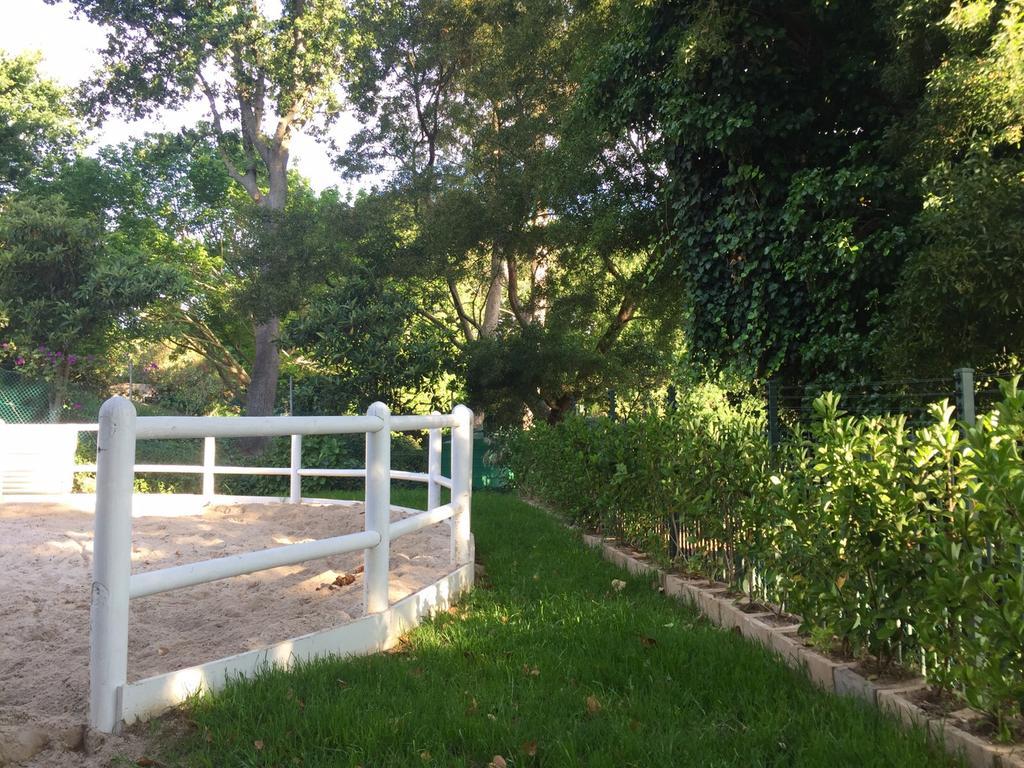 לינה וארוחת בוקר קייפטאון The White Manor מראה חיצוני תמונה